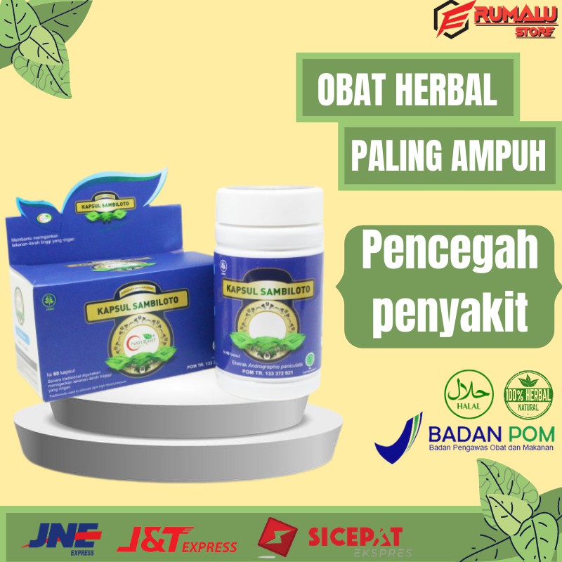 Jual Obat Suplemen Kesehatan Herbal Tradisional Kapsul Daun Sambiloto Shopee Indonesia 7389