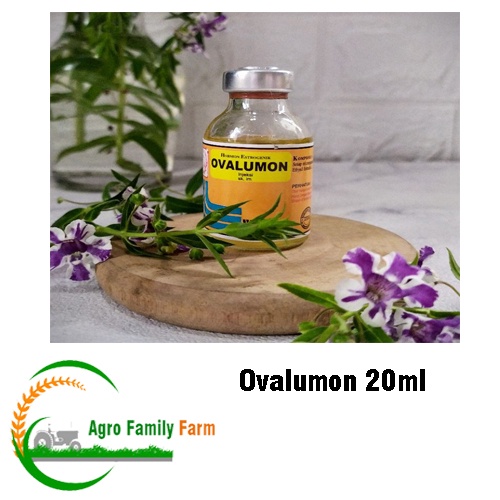 OVALUMON 20 ml - Hormon Estradiol Hewan Ajing Kucing Kelinci Kambing Sapi Babi