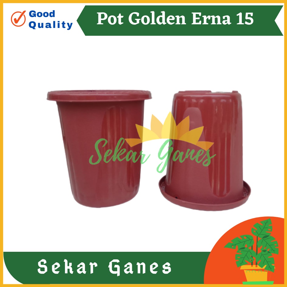 Pot GE15 Golden Erna 15 Putih Bening Transparan Hitam Merah Bata Coklat Terracotta Garden Of Love Mirip Pot Yogap Ypt 10 13 15 Putih Merah Bata Transparan Pot Yogap 17 18 19 Pot Yogap Murah Pot Bunga Tinggi Pirus Tegak Bagus Tebal