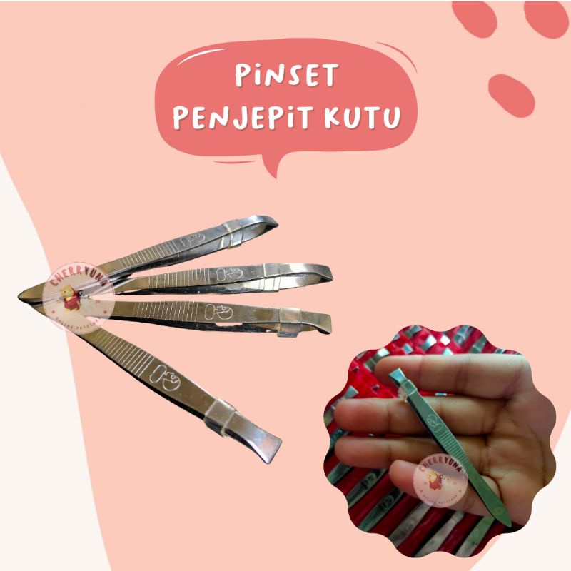 Pinset Penjepit Kutu/Pinset Termurah