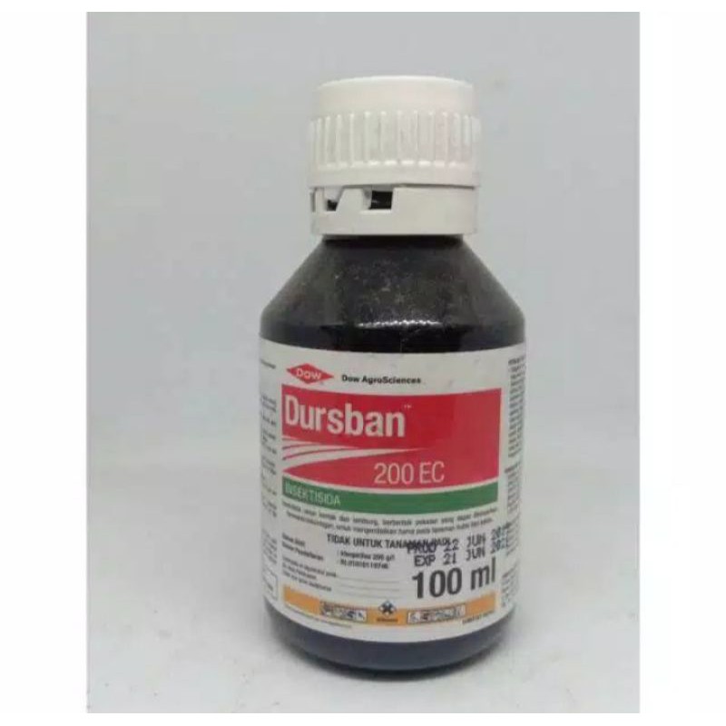 insektisida dursban 100ml