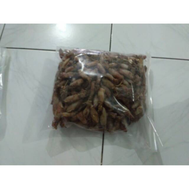 

Cumi Telur Kemasan Sekilo - Bonus Masker Kain - Medan Kali
