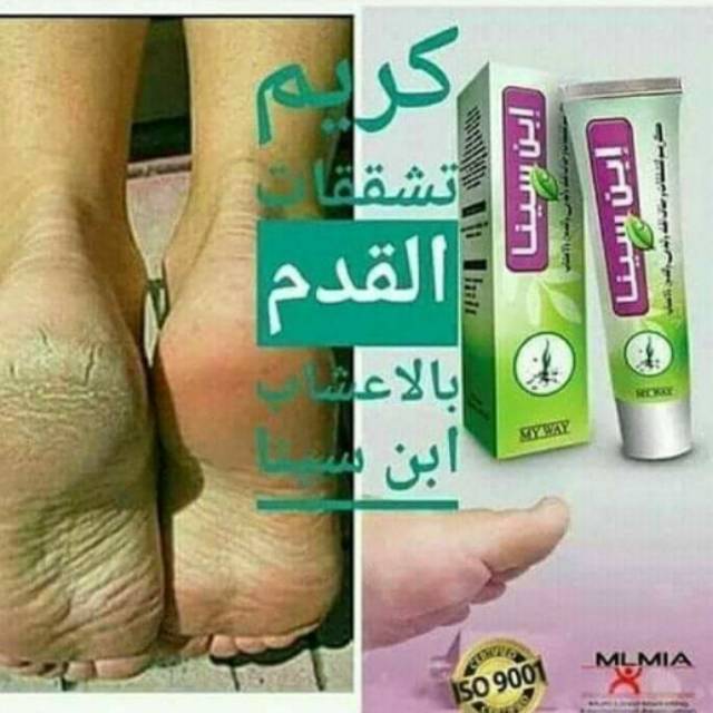 My Way Ibn Sina by annananoe