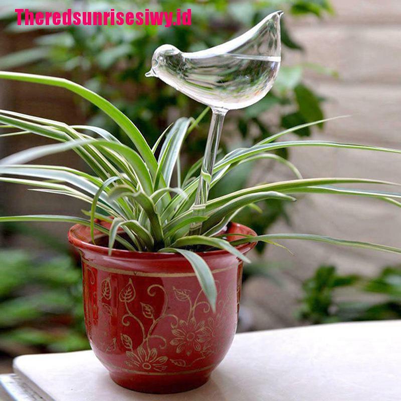 %Home &amp; living%%Plant Waterer Self Watering Globes, Bird Shape Hand Blown Clear Aqua Bulbs