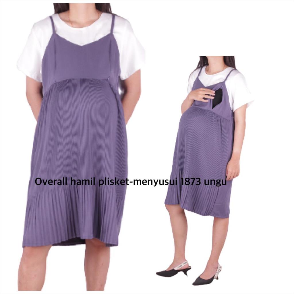 Overall Hamil Dan Menyusui 1873