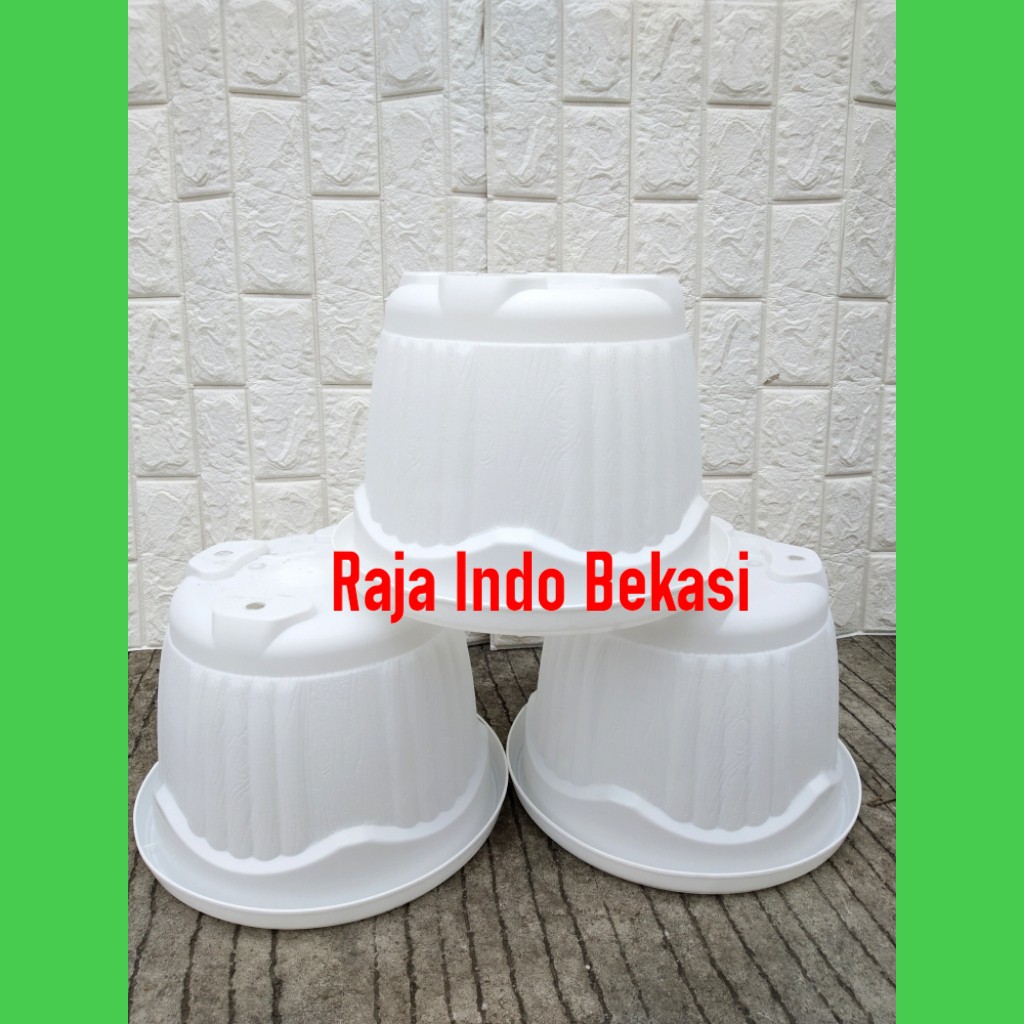 Pot Flamboyan 30 Putih / White - Clio 4024 - Pot Tanaman Bunga Hias Aglonema Ukuran Mirip Tawon 27