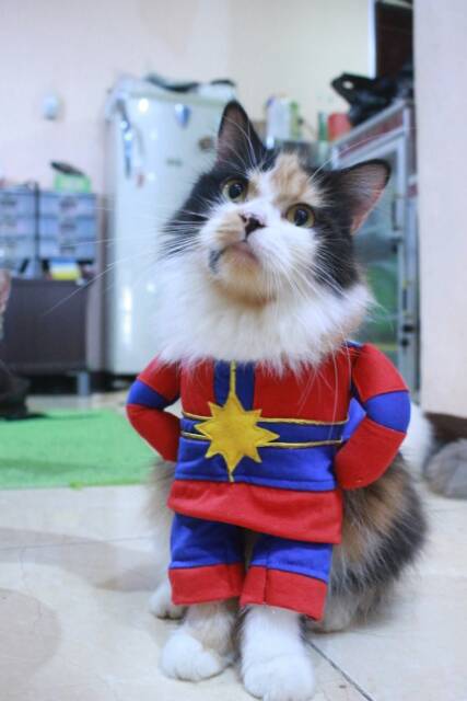 Kostum kapten marvel final untuk kucing dan anjing / baju kucing murah size S M L XL