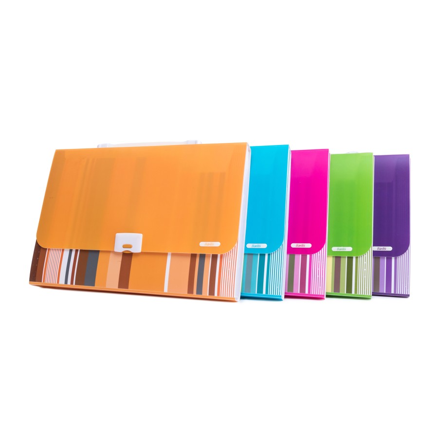 

TBMO FANCY STRIPES EXPANDING FILE 13 POCKET FOLIO 3608 BANTEX