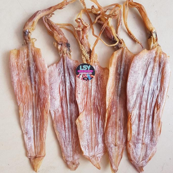 

juhi / sotong kering kualitas no 1