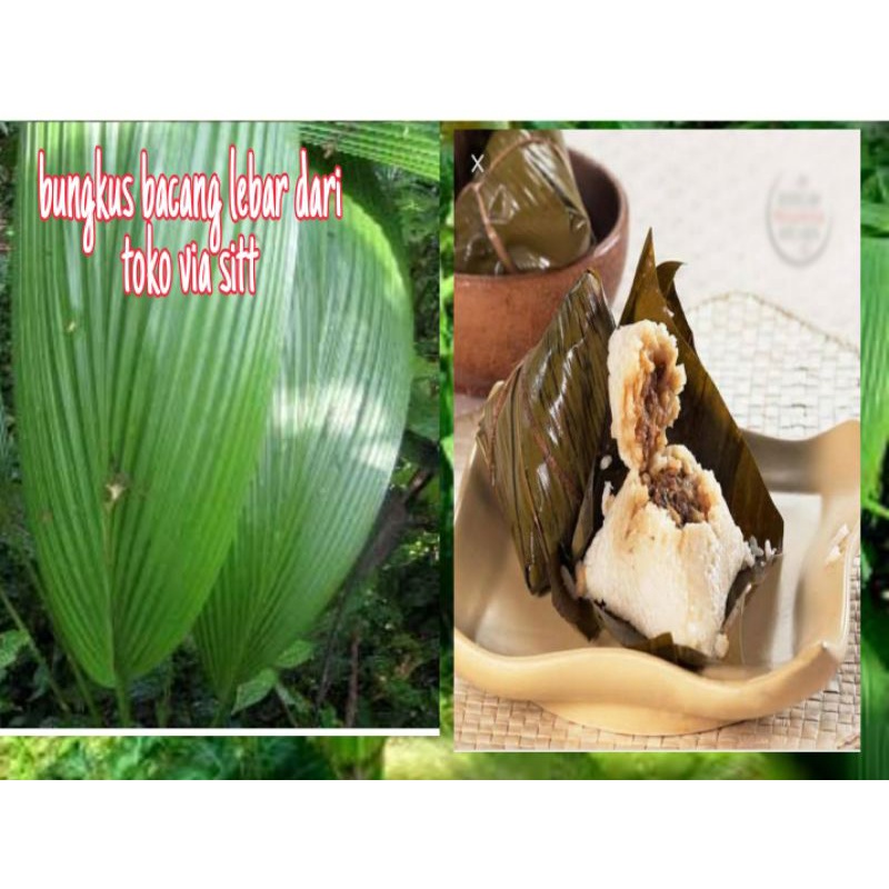 

BUNGKUS BACANG LEBAR JUMBO DAUN MERASI