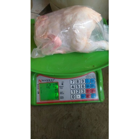 

ayam fres kikiwartika