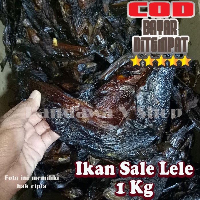 

Ikan Sale Lele 1 Kg