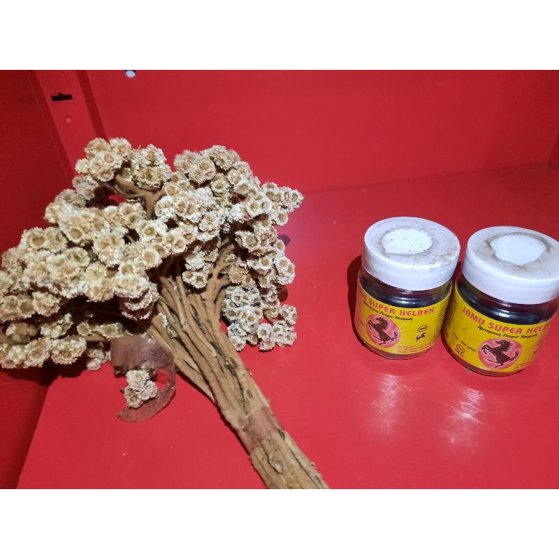 Jamu tradisional Madura Super helbeh (ramuan timur tengah)