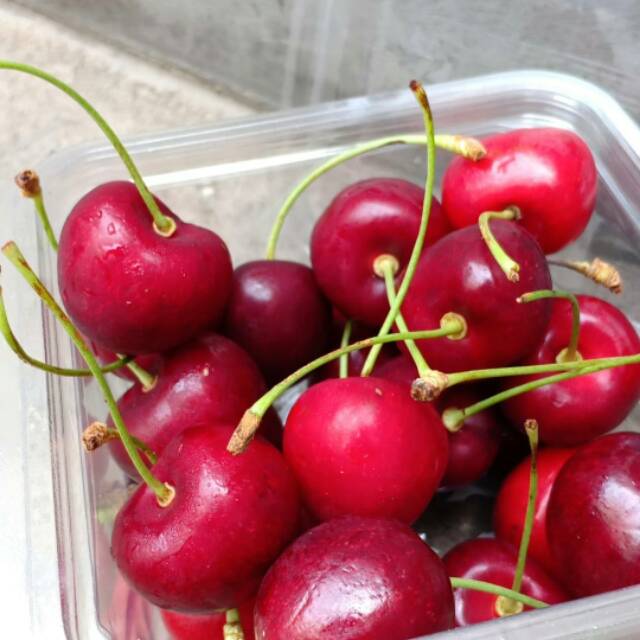 

Buah Cherry Segar Import