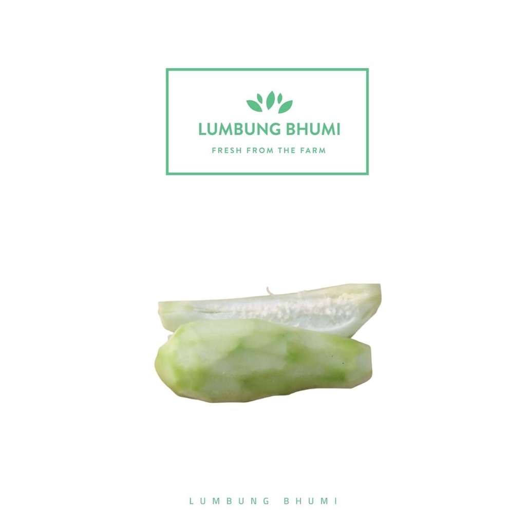 

Lumbung Bhumi - Pepaya Muda 500 Gr ( Sayur Curah )