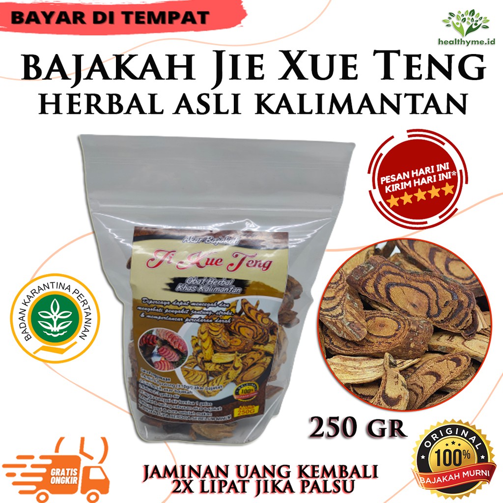 

Akar Kayu Bajakah Ji Xue Teng Herbal Asli Kalimantan - 250 gr