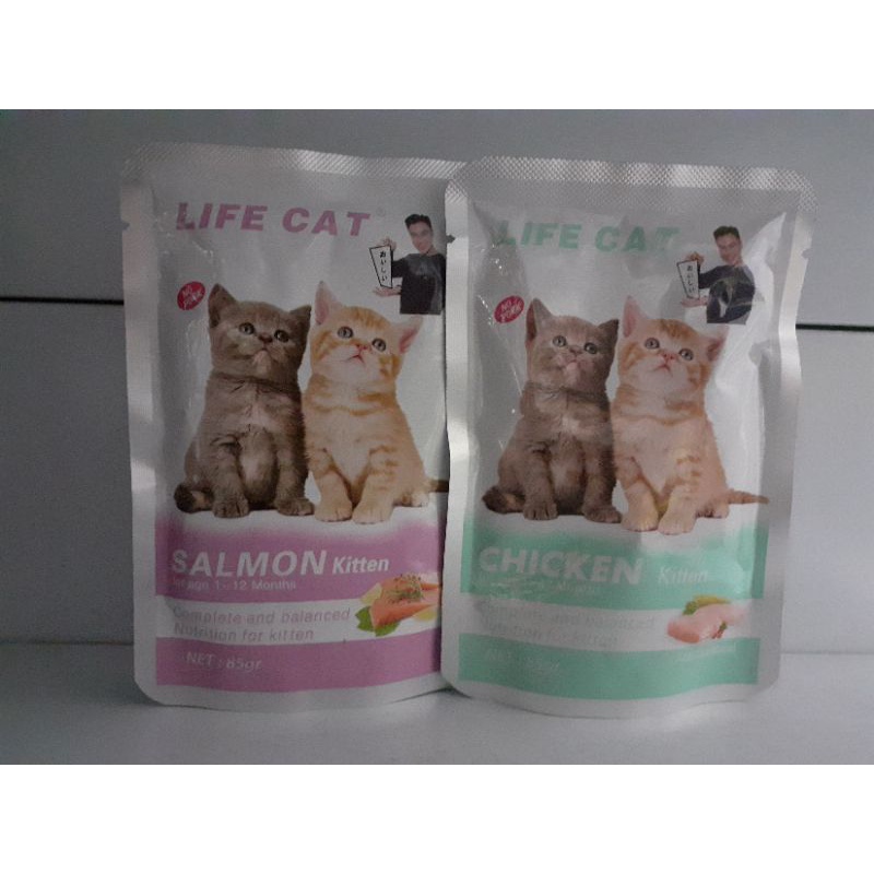 life cat sachet kitten 2-12 mount