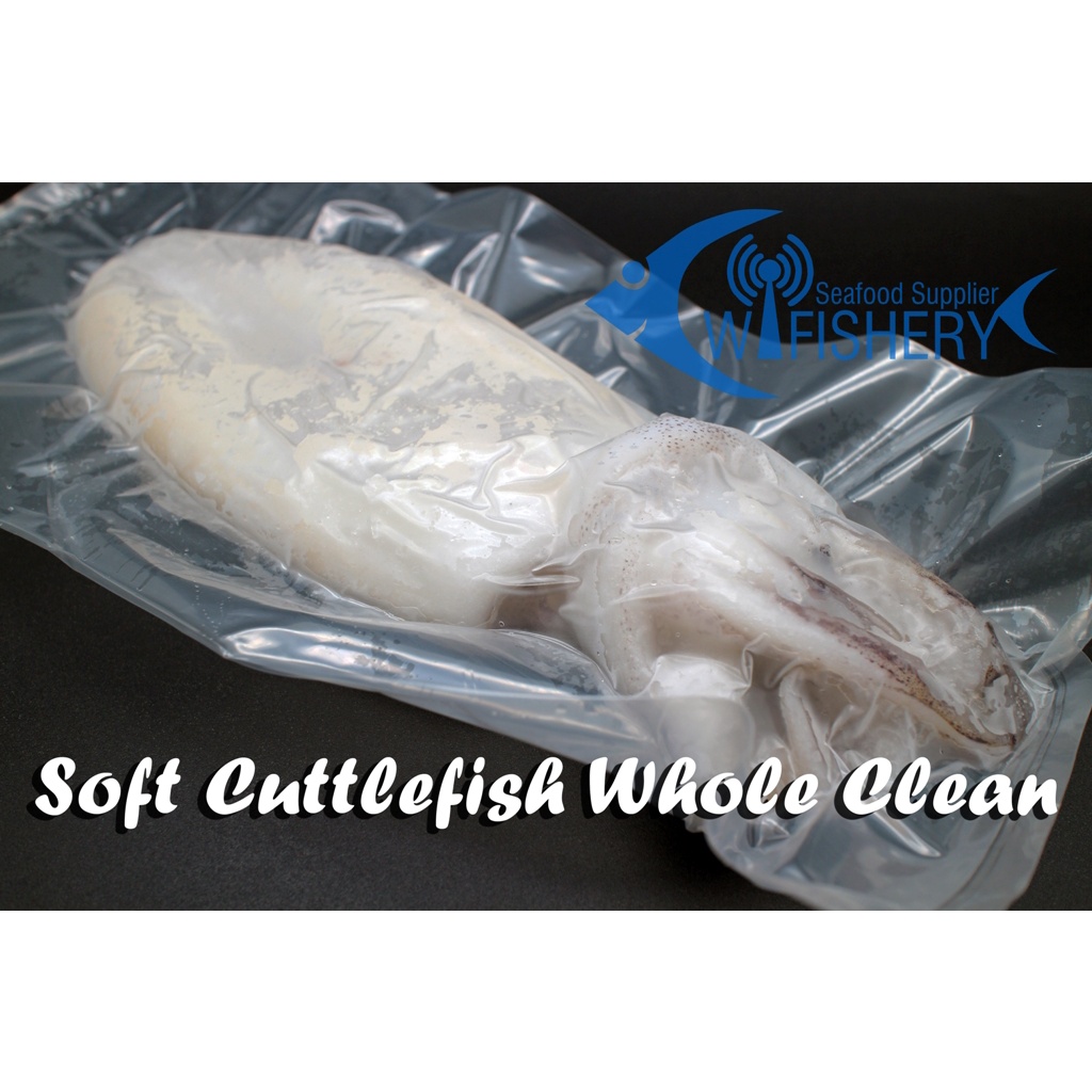 

Cumi Manis Utuh Bersih / Semampar Utuh Bersih - Soft Cuttlefish Whole Clean