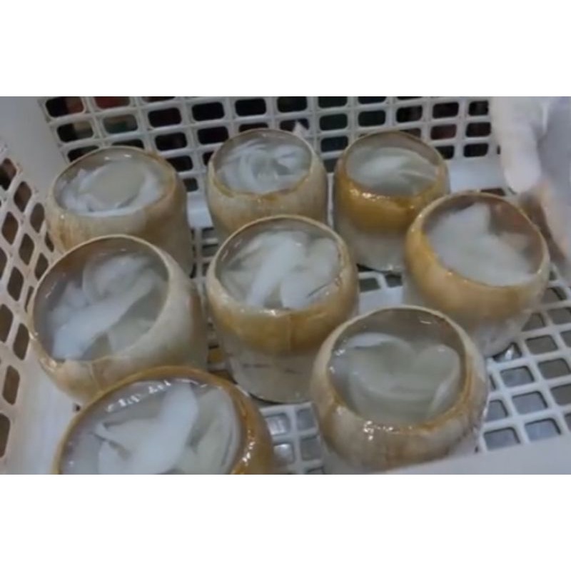 

PUDDING KELAPA ASLI PACITAN PUDDING SEGAR.