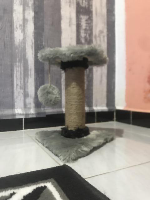 Cakaran kucing  Garukan kucing  Mainan  kucing  Cat  tree 