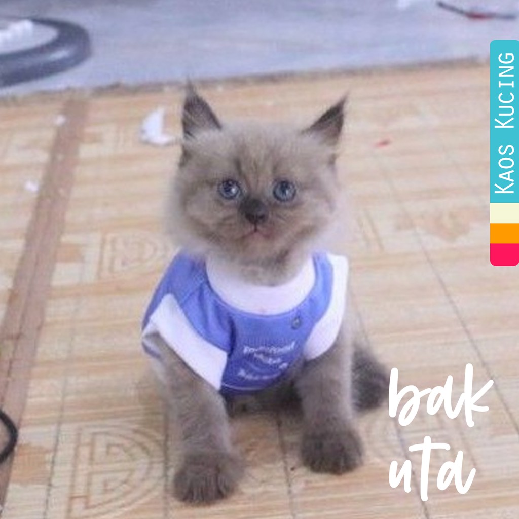 Kaos Jersey design persib untuk kucing dan anjing / jersey bola murah kucing &amp; anjing size S M L XL