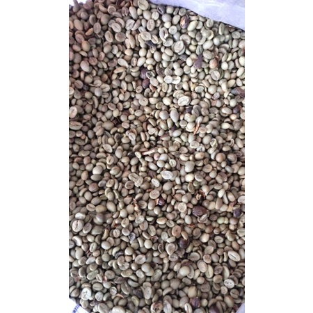 

kopi robusta biji kecil