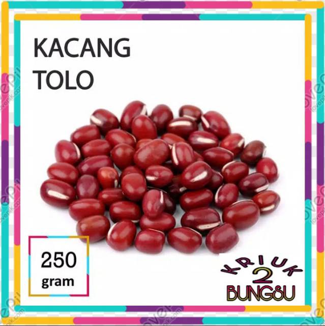 

Kacang tolo