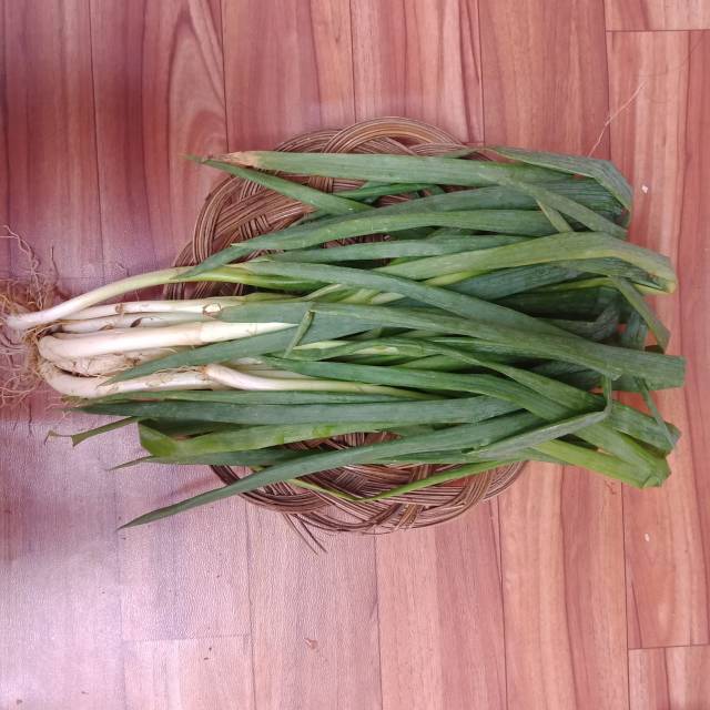 

Bawang daun 100 gr bersih, segar, murah