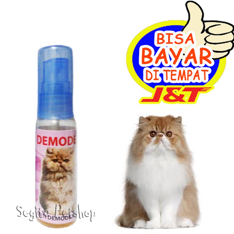 OBAT LUKA KUCING BULU RONTOK BOTAK KORENG JAMUR DEMODEX  Shopee 