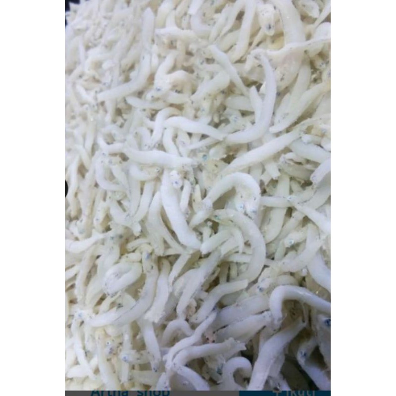 

ikan teri medan kualitas super