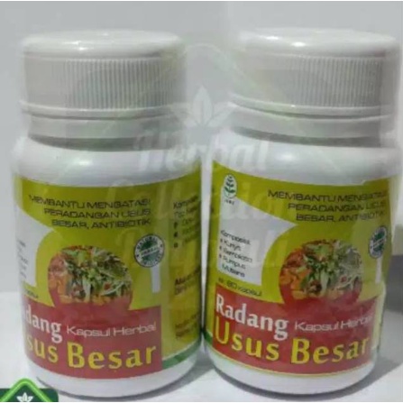 RADANG USUS Kapsul obat herbal kapsul radang usus besar origina ampuh mengobati radang usus besar dan gangguan lambung