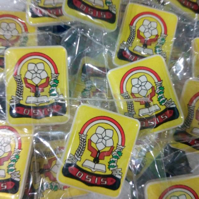 Pin OSIS