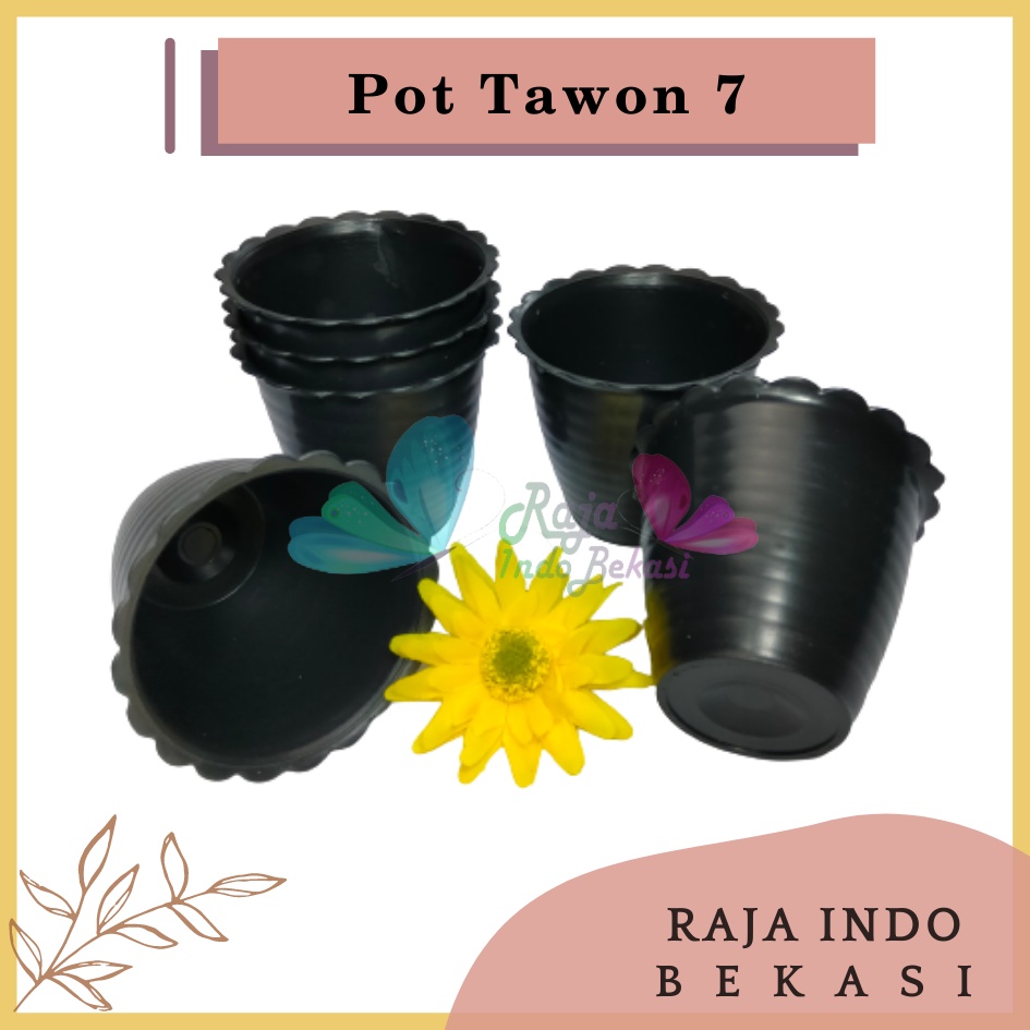 Pot Tawon 7 Hitam 7.5 Cm By Garden Of Love Pot Bunga Plastik Mini Lucu Vas Bunga Kaktus Kecil