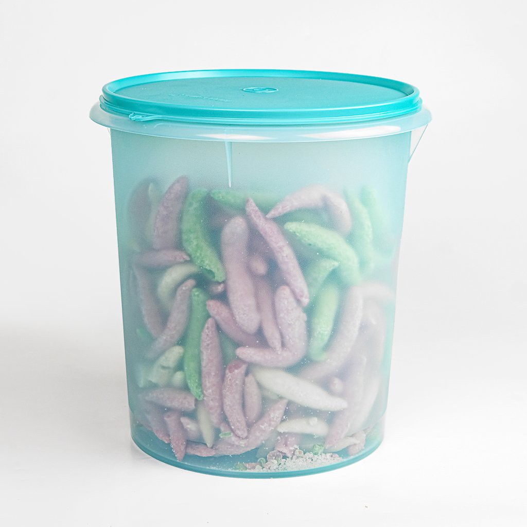 giant canister tempat besar snack tempat untuk taro snack tempat cemilan tempat makan mantab