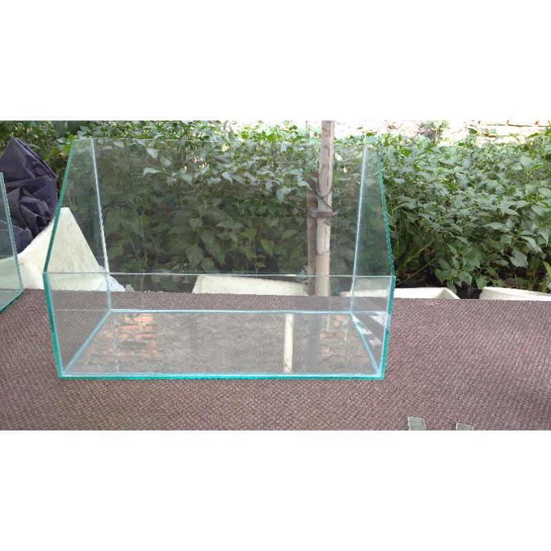 paludarium 60x30x35