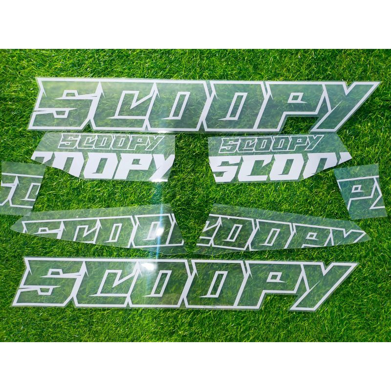 STRIPING SCOOPY 2021 TRANSPARAN