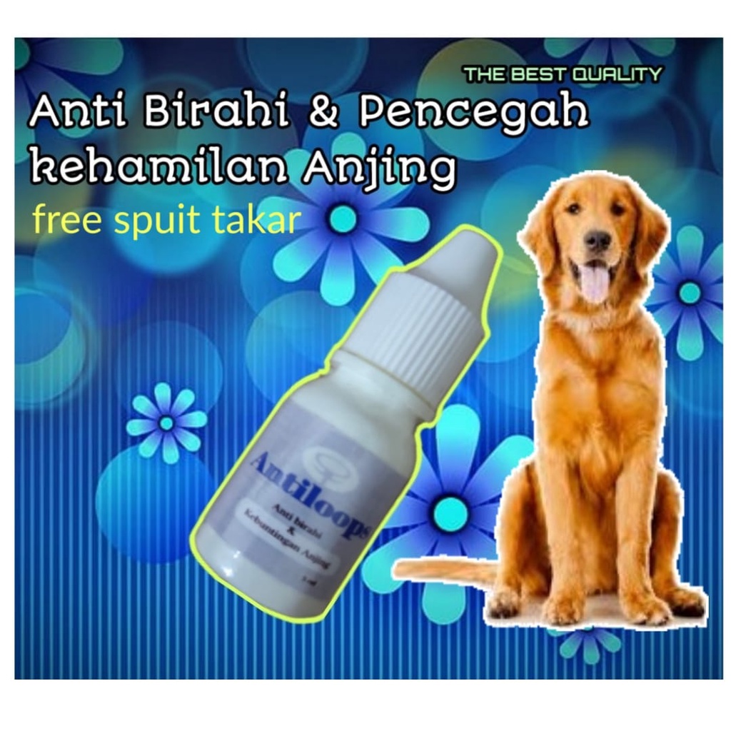 kb anjing antiloops pencegah kehamilan