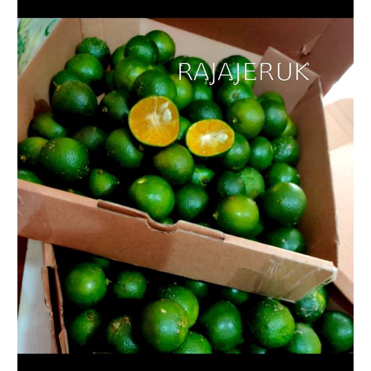 

Jeruk Sonkit / Lemon Cui / Jeruk Konci