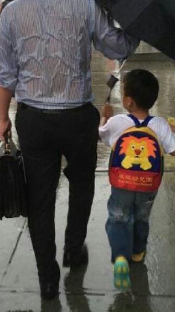 Molto All-in-1 1x Bilas 1600 Ml