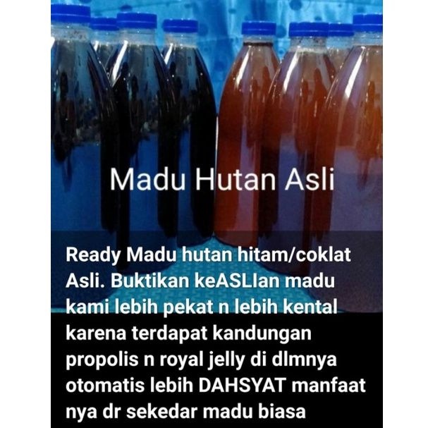 

Madu Hutan Hitam/coklat Asli