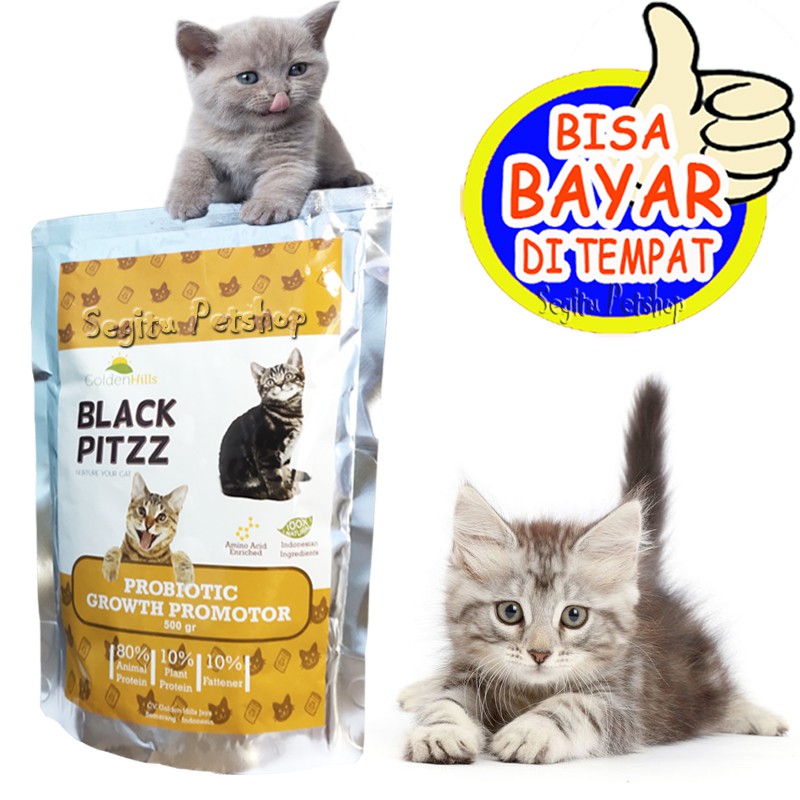 MAKANAN KUCING DALAM MASA PENYEMBUHAN SAKIT BLACK PITZZ PROBIOTIC 500 GRAM