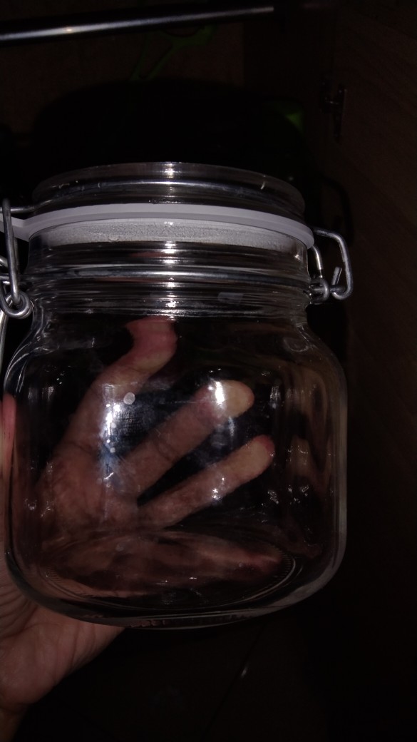 Toples Kaca Kedap Udara 1000 Ml / 1 Liter Pengait Jepit Hermetico