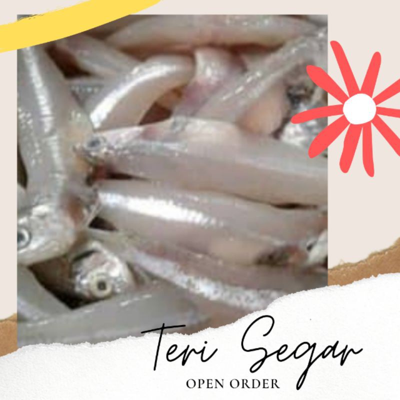 

IKAN TERI SEGAR