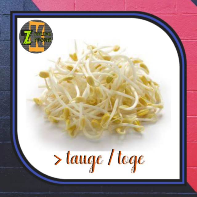 

Tauge / toge (100gr)