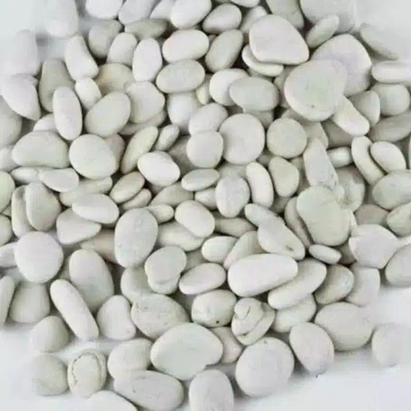 Batu koral hias putih/500 gram