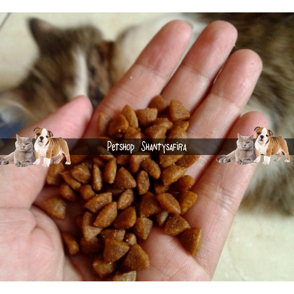 MAKANAN KUCING EQUILIBRIO KITTEN INDOOR KEMASAN REAL 500 GR DAN 1 KG