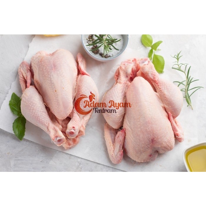 

Ayam Broiler 1,1 kg - 1,2 kg