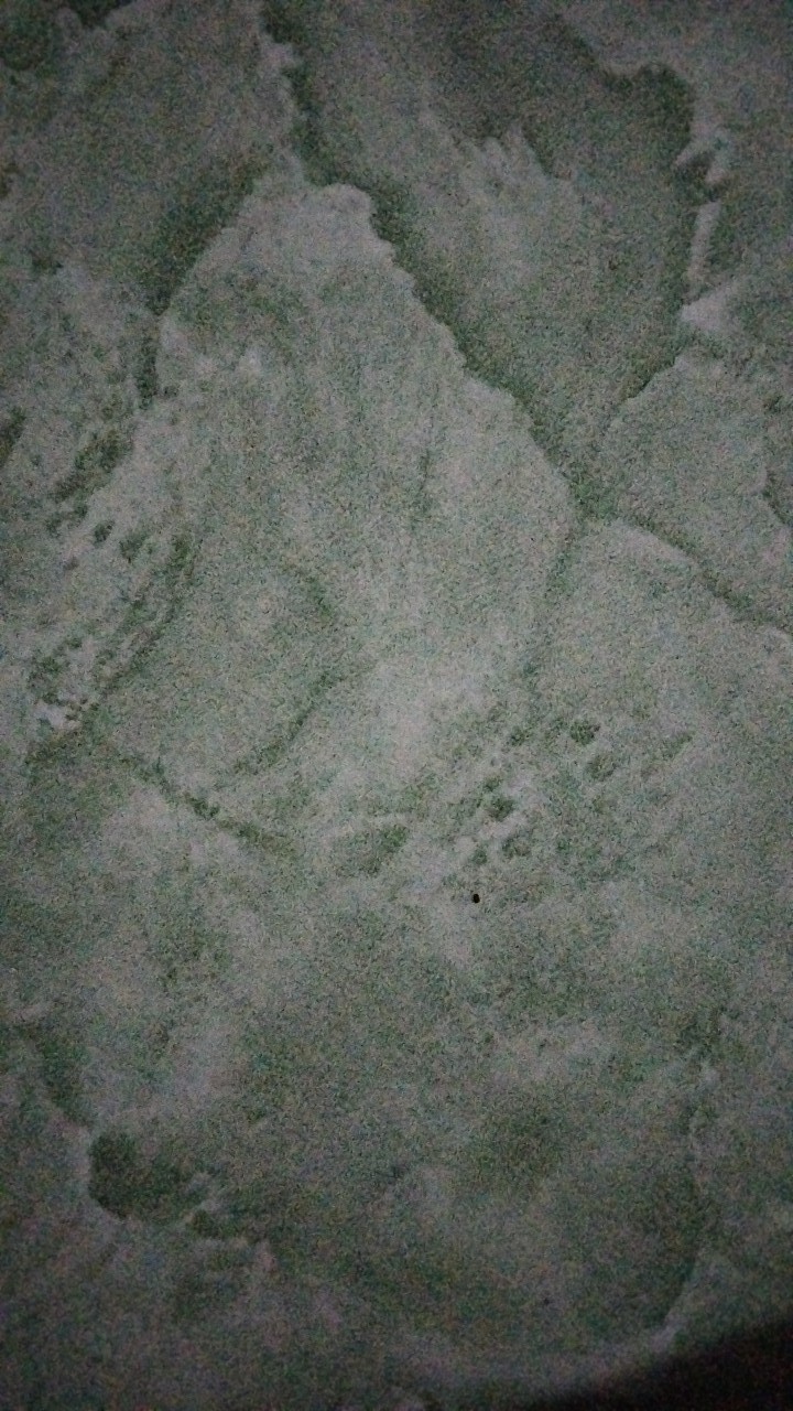 Grendel Belluci / Selot Pintu / Selot Jendela