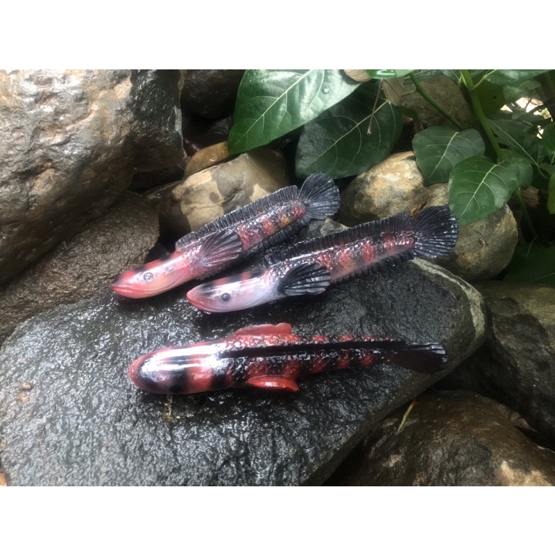 Patung penggoda Ikan channa