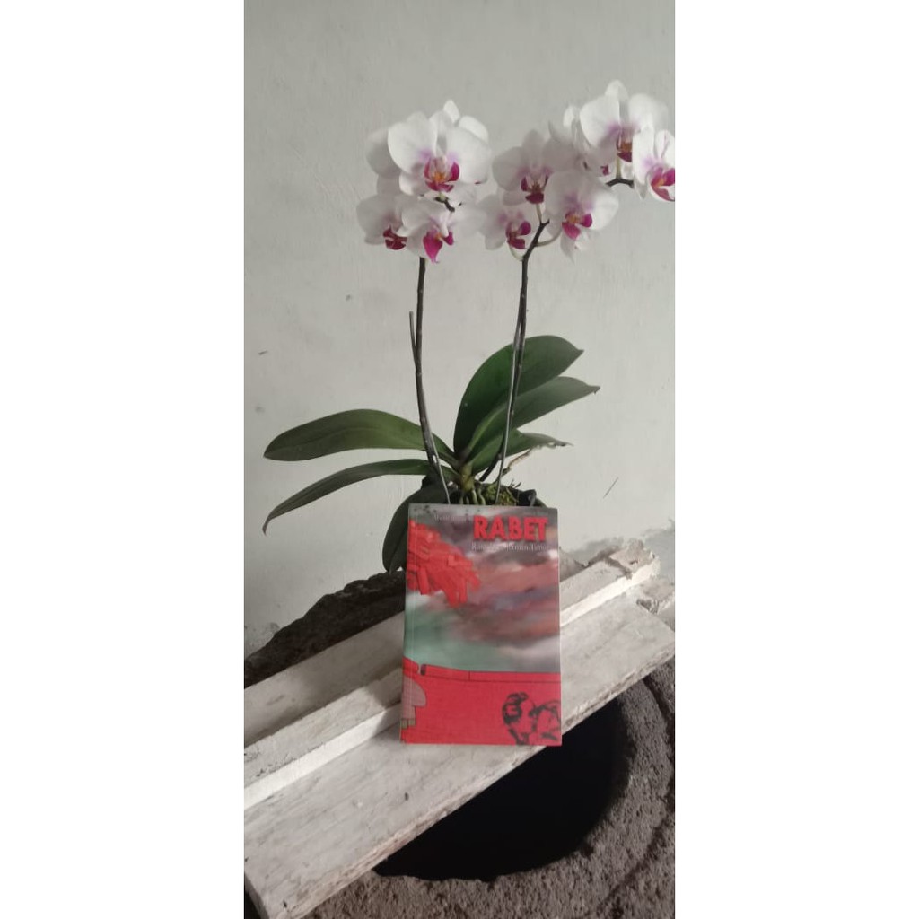 RABET : Runtuhnya Jerman Timur